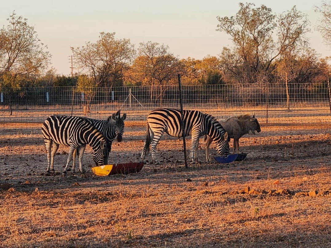 Mzimkhulu Resort & Ranch
