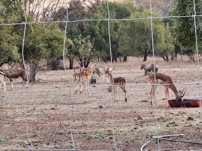 Mzimkhulu Resort & Ranch