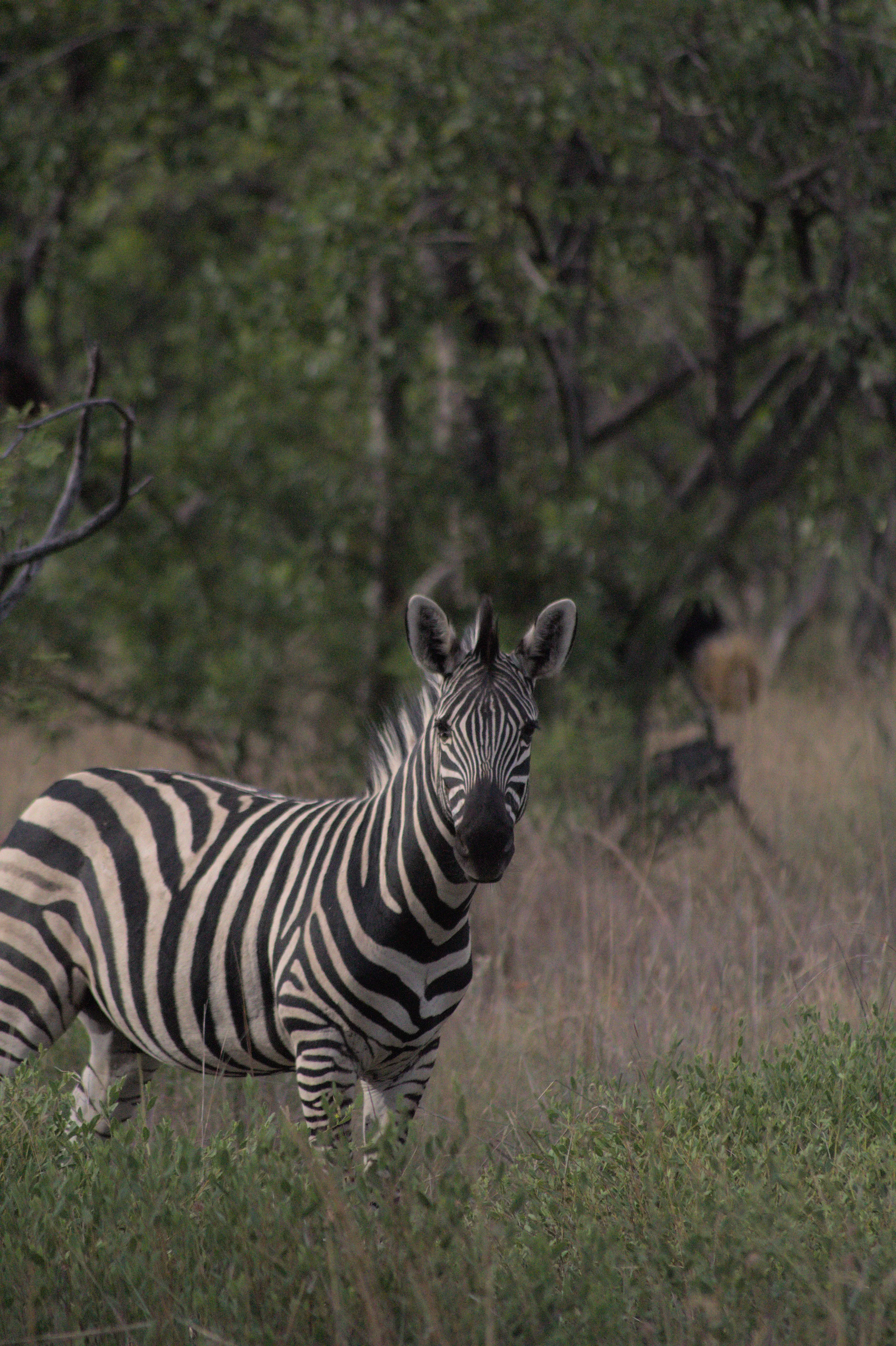 Mzimkhulu Resort & Ranch